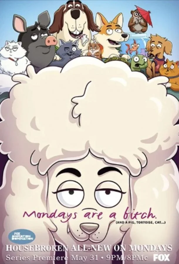 К лотку приучены Смотреть мультсериал 2021 онлайн